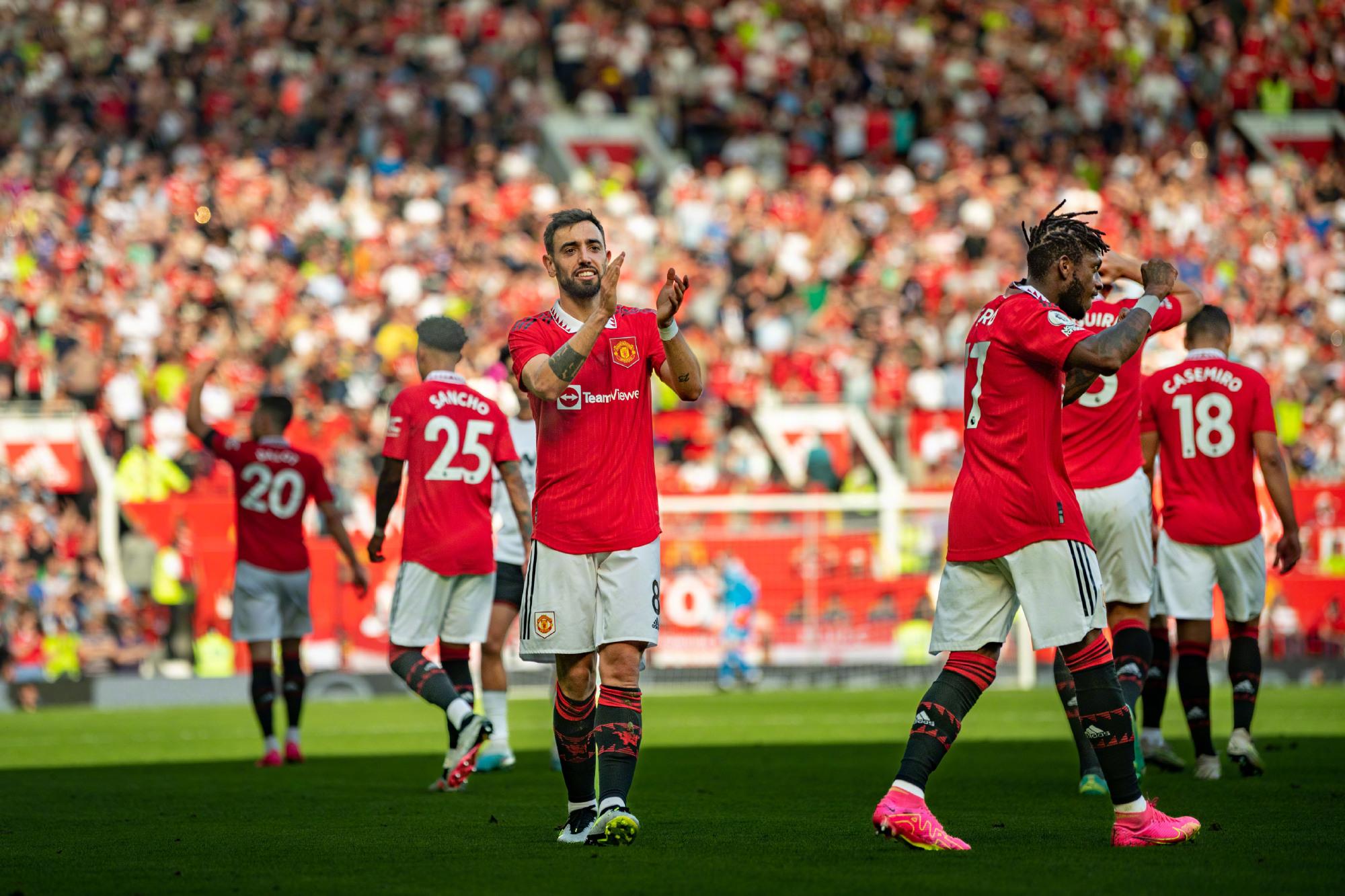 职业生涯的 职业生涯的